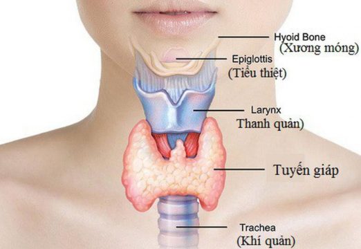 Bệnh tuyến giáp và mãn kinh 6 benh tuyen giap