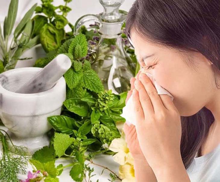 Chữa viêm xoang bằng thảo dược là phương pháp được nhiều người tin dùng Chữa viêm xoang bằng thảo dược là phương pháp được nhiều người tin dùng
