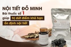 Review bài thuốc Nội tiết Đỗ Minh chữa khô âm đạo có tốt không? Giá bao nhiêu? 1 Bài thuốc gia truyền Đỗ Minh Đường giúp khắc phục tình trạng khô hạn ở chị em
