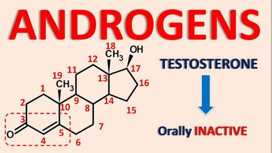 Hormone androgen là một loại hormone chủ yếu tồn tại ở cơ thể nam giới và chỉ chiếm một phần nhỏ trong cơ thể phụ nữ