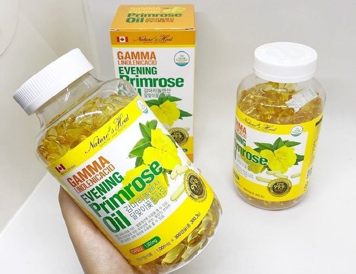 Nội tiết hoa anh thảo Gamma Linolenic Acid 300 Hàn Quốc