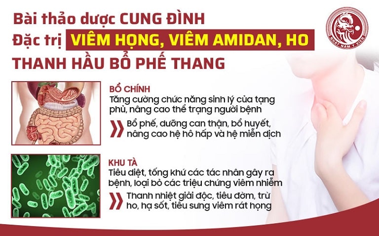 Cơ chế bổ chính khu tà của Thanh Hầu bổ phế thang